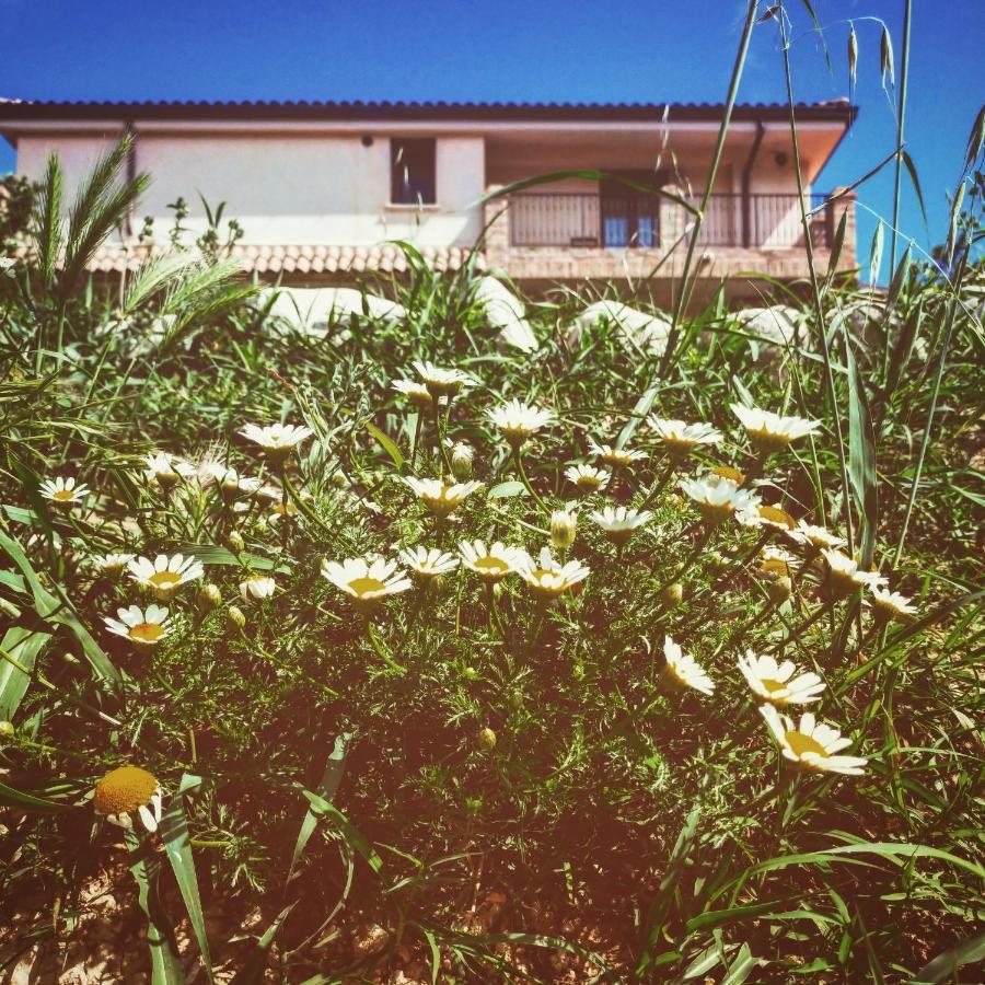 Casale Del Sole Bed and Breakfast Cepagatti Buitenkant foto