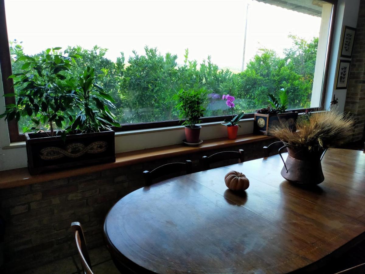 Casale Del Sole Bed and Breakfast Cepagatti Buitenkant foto