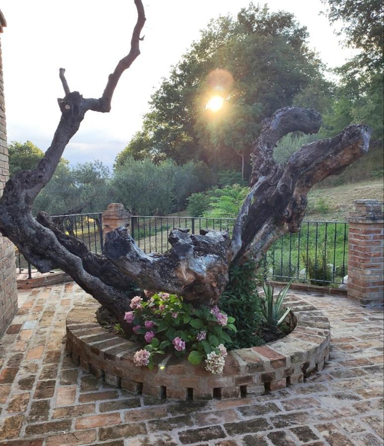 Casale Del Sole Bed and Breakfast Cepagatti Buitenkant foto