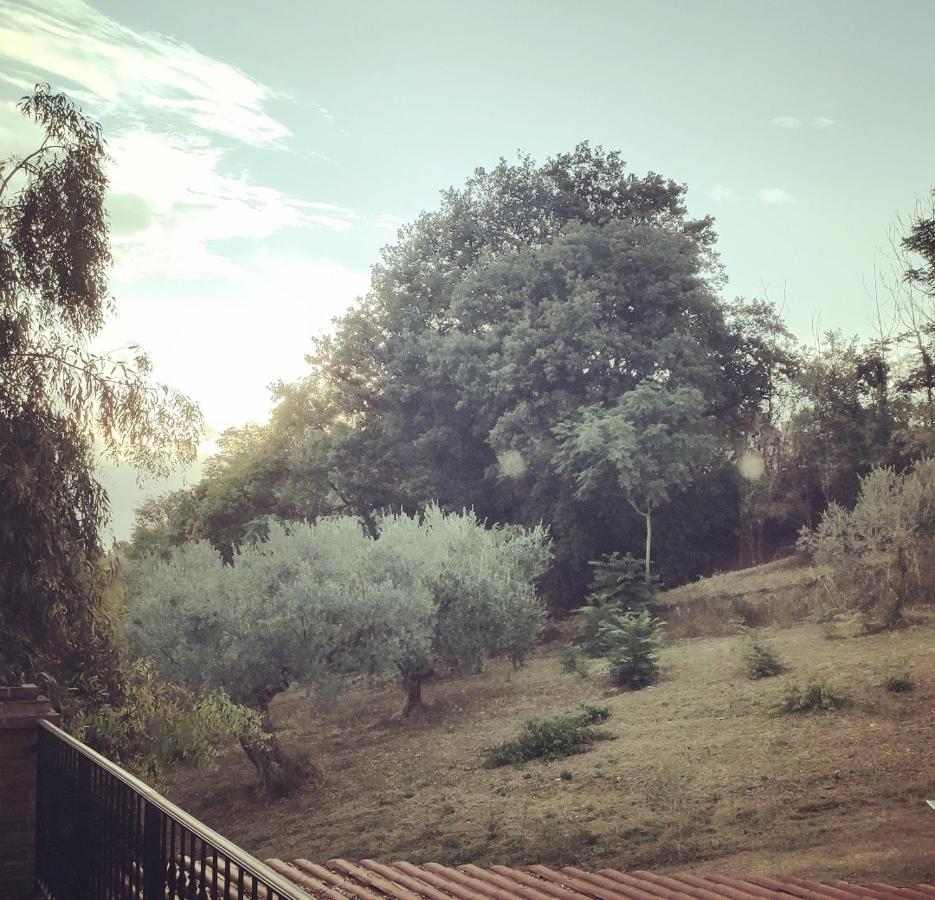 Casale Del Sole Bed and Breakfast Cepagatti Buitenkant foto