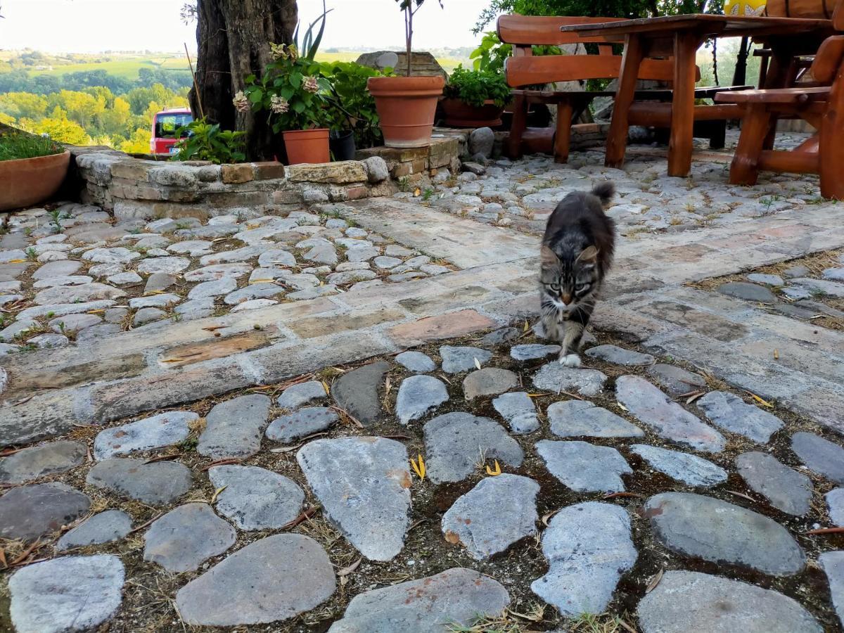 Casale Del Sole Bed and Breakfast Cepagatti Buitenkant foto